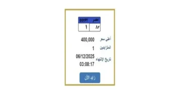 سعر لوحة السيارة المميزة يرتفع إلى 400 ألف جنيه مع خطوات التزايد الأخيرة 1